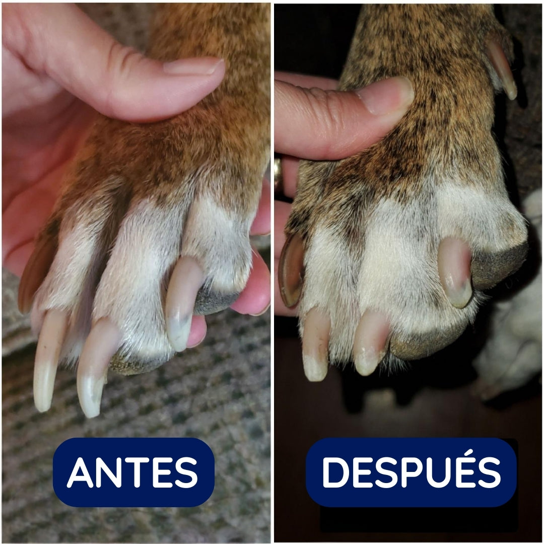 Pawsie™ Pulidor de Uñas