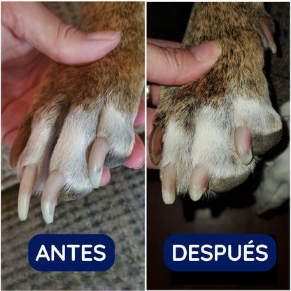 Pawsie™ Pulidor de Uñas